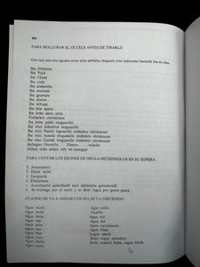 Libro,Ifa en Tierra de Ifa